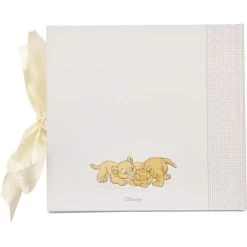 Album Photo Enfant Disney Personnalisé - Simba Et Nala -Disney album photo enfant disney personnalise simba et nala 5